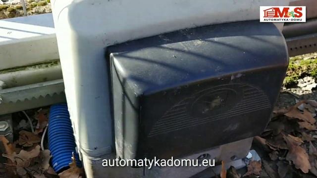 Came. BK 1200 смотреть онлайн