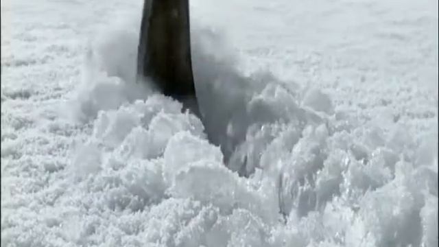 2009 02 06 ТП Супер Ноль смотреть онлайн