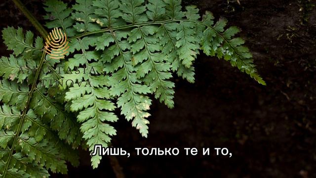 СТИХ И Я. "Держусь за тех, кто от меня уйдет..." смотреть онлайн
