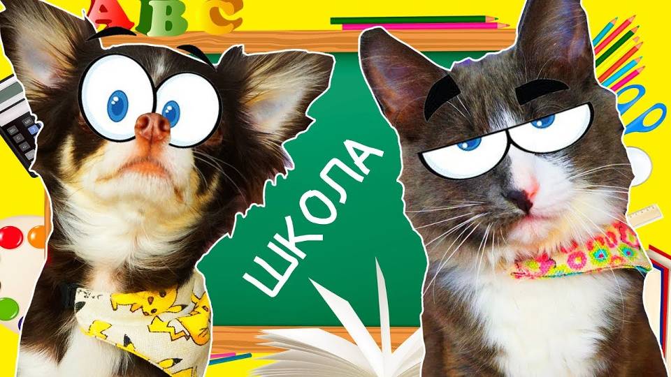 ЮМИ и АЛИСА 🎒 ИДУТ В ШКОЛУ! 🐾 ПОКЕМОН и КОТОМОНСТР ПОДГОТОВКА и СБОРЫ смотреть онлайн