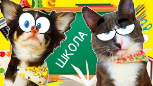 ЮМИ и АЛИСА 🎒 ИДУТ В ШКОЛУ! 🐾 ПОКЕМОН и КОТОМОНСТР ПОДГОТОВКА и СБОРЫ