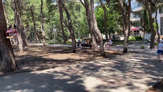 Геленджик через два дня после потопа смотреть онлайн