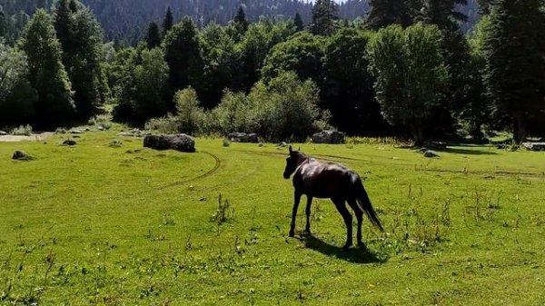 Прогулка в горы. Архыз 2022