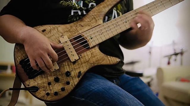 America the beautiful bass cover_Calvin Park смотреть онлайн