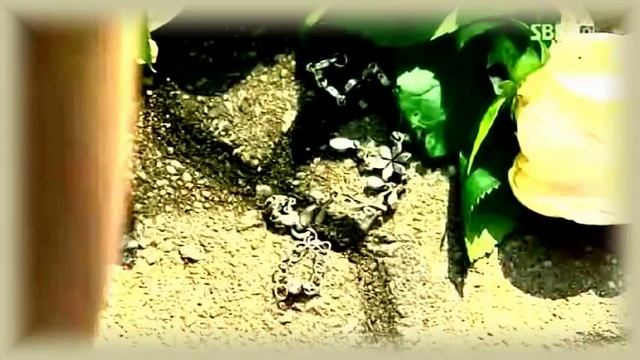 [MV] 49 Days - Falling Tears (OST) смотреть онлайн