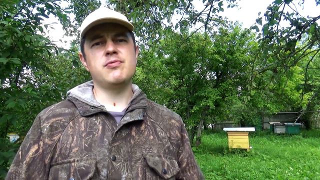 Конец главного медосбора. Подготовка к откачке магазинов на моей пасеке смотреть онлайн