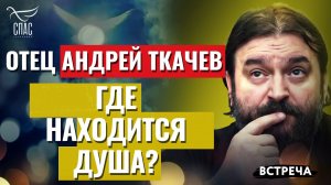 ПРОТОИЕРЕЙ АНДРЕЙ ТКАЧЕВ: ГДЕ НАХОДИТСЯ ДУША?