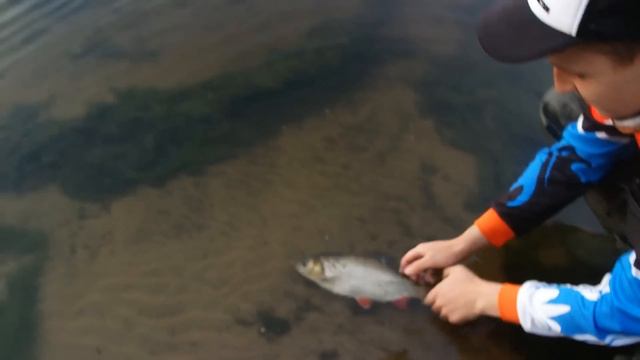 Jig-fishing.ru Язь на 735гр. Отпускайте рыбу) смотреть онлайн