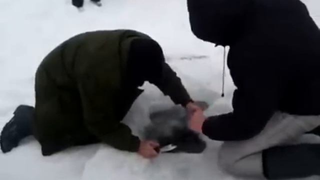 Огромная щука-монстр смотреть онлайн
