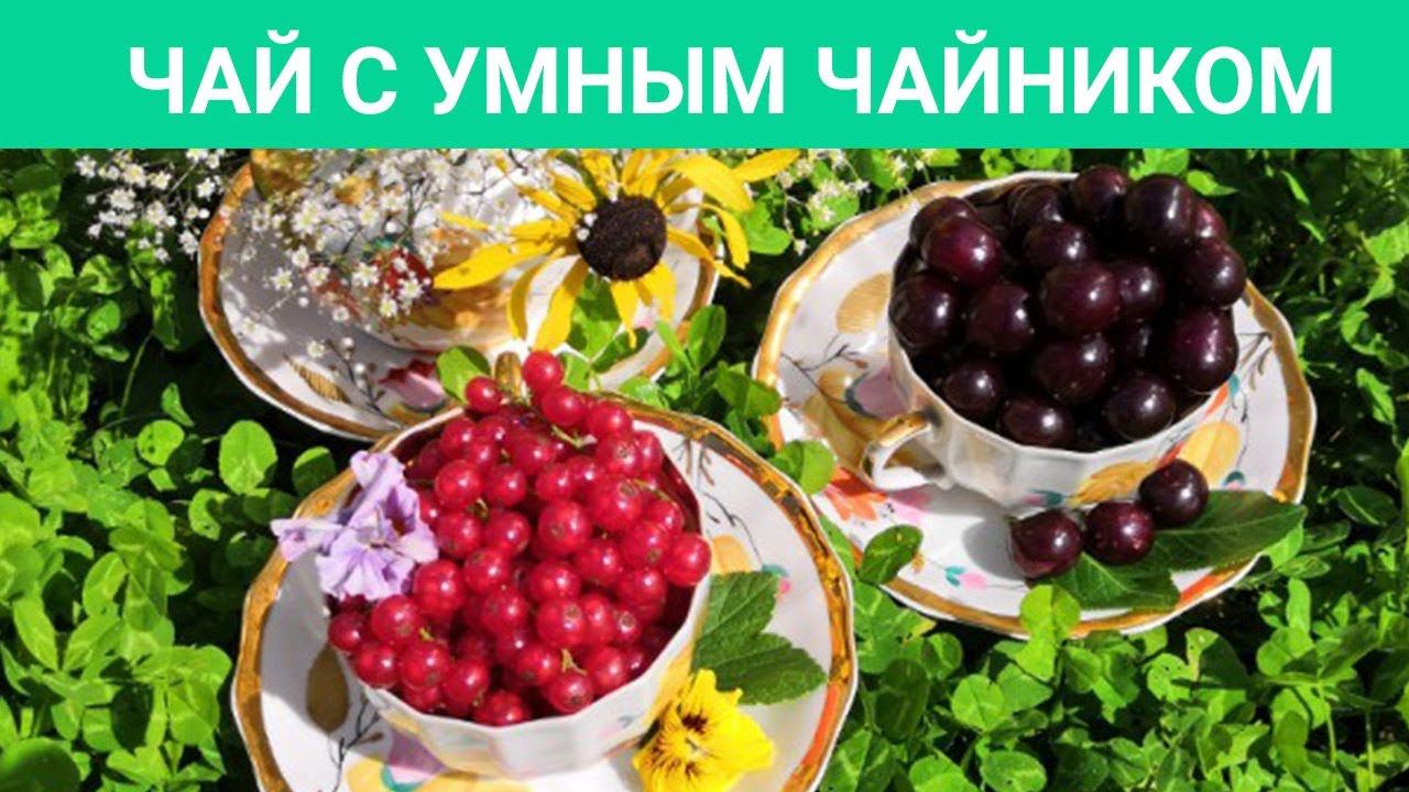 Марокканский тонизирующий чай из российских трав смотреть онлайн