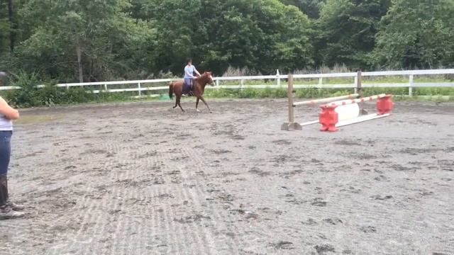 Otto with Amateur jumping course смотреть онлайн