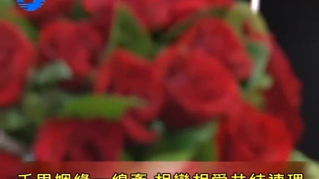 1011111交通部暨中華電信員工集團結婚 смотреть онлайн