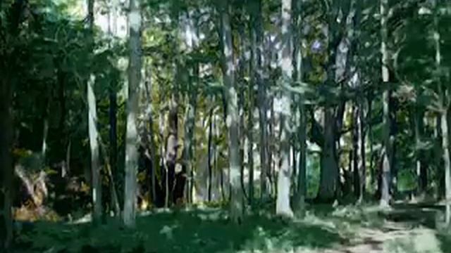 Brian Eno - Just Another Day - Time Lapse - Four Seasons смотреть онлайн