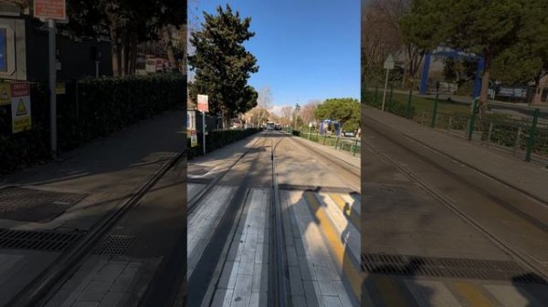 #sealife #turkey #balat #2023