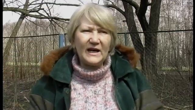 Немного о породе Сеттер смотреть онлайн