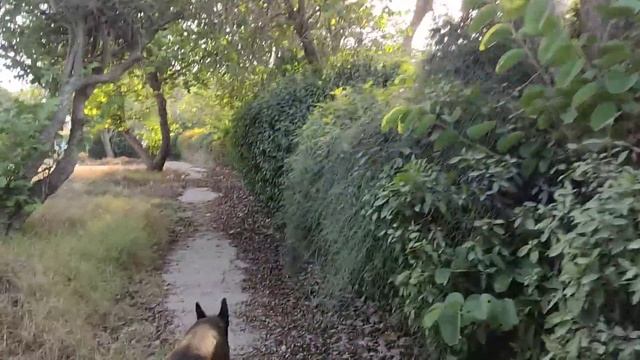 Ситуация в Израиле на 10.10.2023.