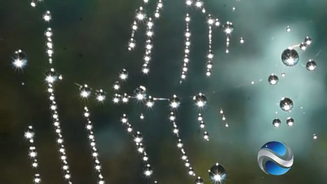 В начале сентября В Караблин смотреть онлайн