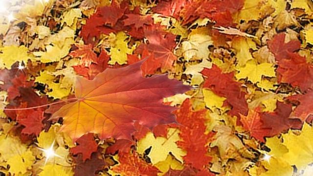 АХ, ЛИСТОПАД, АХ, ЛИСТОПАД! Стихи, видеоряд ЛюдМилы Даничкиной Milalita смотреть онлайн