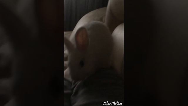 VideoMotion Uploaded File (вторник июня 30, 2015 23:31, GMT+3) смотреть онлайн