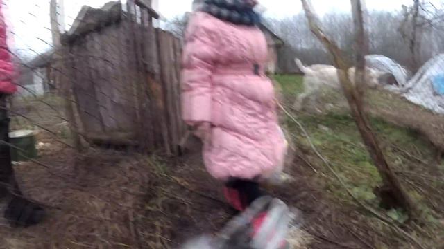 Выходной: в деревню... - с семьей! смотреть онлайн