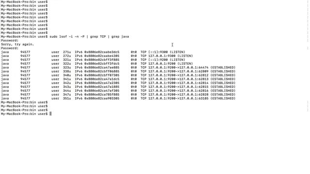 Elasticsearch Port 9200 or 9300 Use ? смотреть онлайн