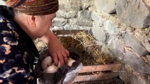 НАТУРАЛЬНЫЙ ДЖЕМ Азербайджанская Кухня Деревенская Кухня  Рецепты