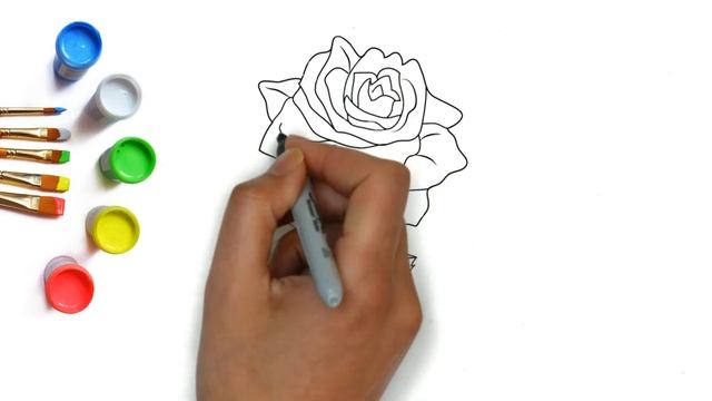 How to draw a rose, flower, beautiful drawings for kids, как нарисовать цветок розу смотреть онлайн
