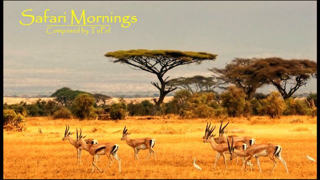 African Music - Safari Mornings | ToPol's Ethnic