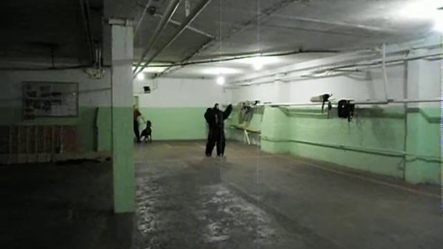 SAM 0353 смотреть онлайн