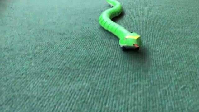 15 Foot Python Gets Loose In Our House.. (TERRIFYING) смотреть онлайн