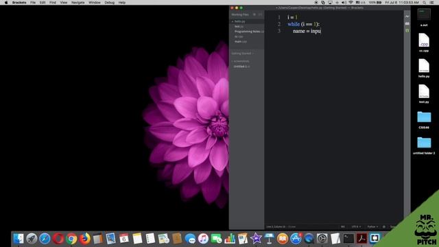 Python Tutorials Part 14|While Loop смотреть онлайн