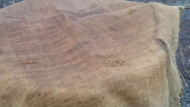 Копчение сыра холодным методом с помощью дымогенератора. смотреть онлайн