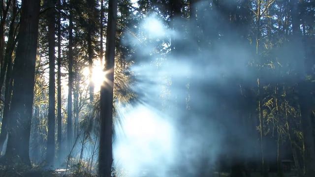 Хоопонопоно 15 минут глубокой медитации для исполнения желаний Техника исправления ошибок смотреть онлайн