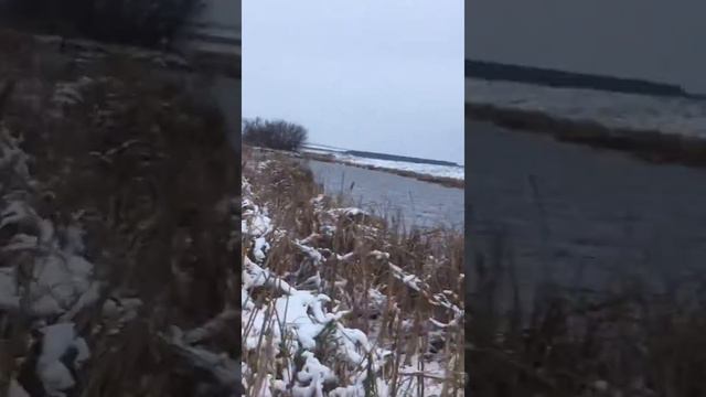 Норка День 2 смотреть онлайн