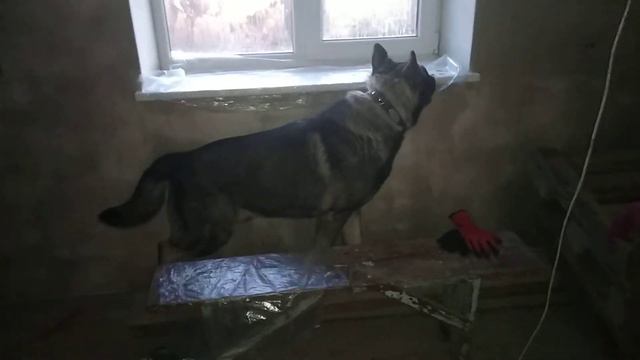 Дача. смотреть онлайн