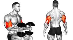 Качаем руки правильно: 5 лучших упражнений на бицепс и трицепс