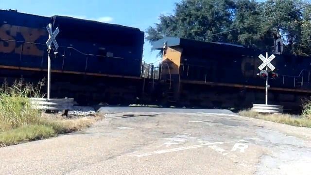 Orange Grove Meets CSX SD70MAC смотреть онлайн