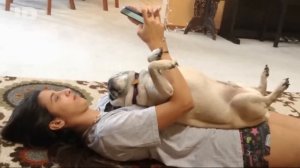 Американский монстр 8 сезон 4 серия