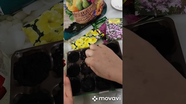 ПОСЕЕМ ПЕТУНИЮ, КАЛИБРОХАО В МУЛЬТИДРОЖЖЕ. смотреть онлайн