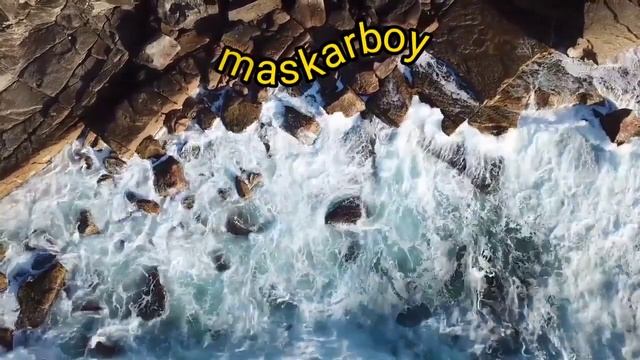 Мандавошки его отгрызли. Моя история, как я подцепил себе животного смотреть онлайн