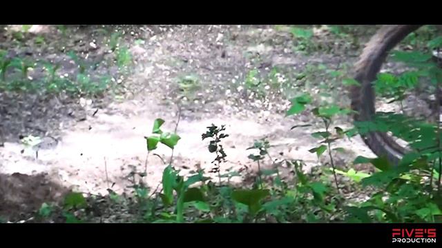 ПЛОСКИЕ ПОВОРОТЫ   Александр Дрыга