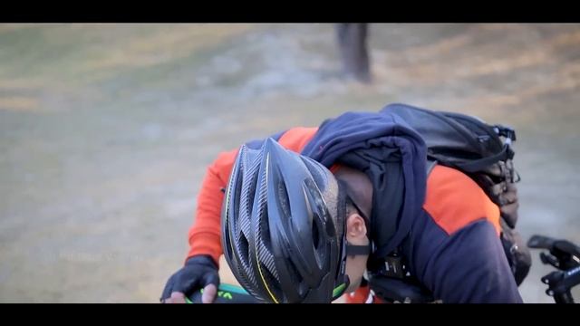 Microshift Vs Shimano GEARS