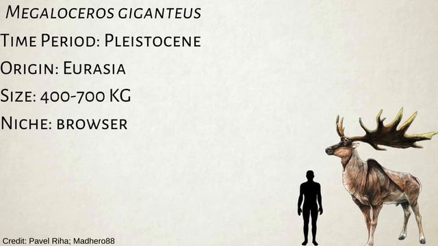 Could Giant Mammals Survive the Jurassic Period? смотреть онлайн