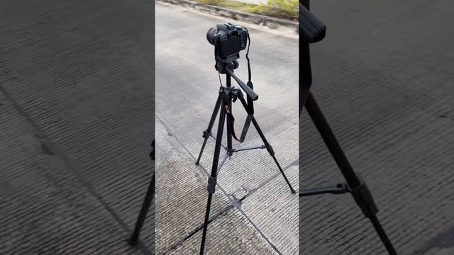 Canon EOS850D смотреть онлайн