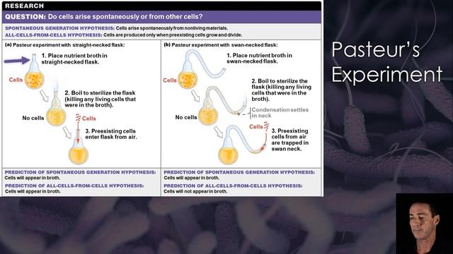 Louis Pasteur's Experiment смотреть онлайн