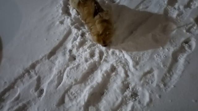 Зимний снежный вечерок смотреть онлайн