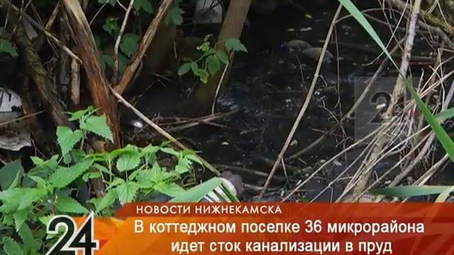 Нечистоты из коттеджного поселка в Нижнекамске стекают в озеро смотреть онлайн