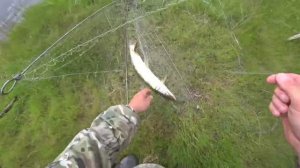 Рыбалка на хапуги летом Сплетня алтайская пробуем!Хмао-югра.mp4