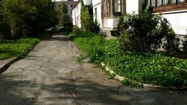 13.09.19 г. Как мы выбираем арбуз! Маленький обзорчик! смотреть онлайн