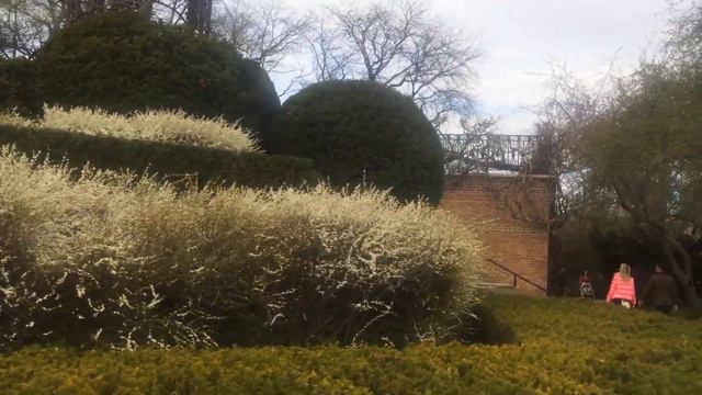 ERNEST METTER: “Подойдите ж, пожалейте, сироту меня, согрейте»